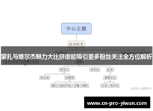 蒙扎与维尔杰魅力大比拼谁能吸引更多粉丝关注全方位解析