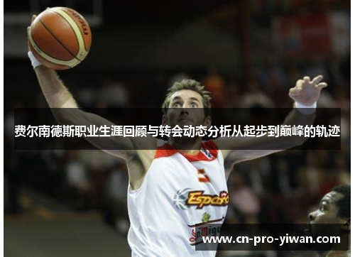 费尔南德斯职业生涯回顾与转会动态分析从起步到巅峰的轨迹